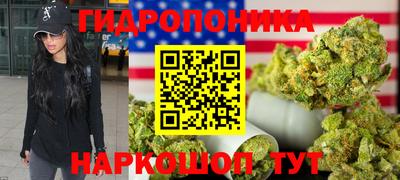 шишки Вязьма